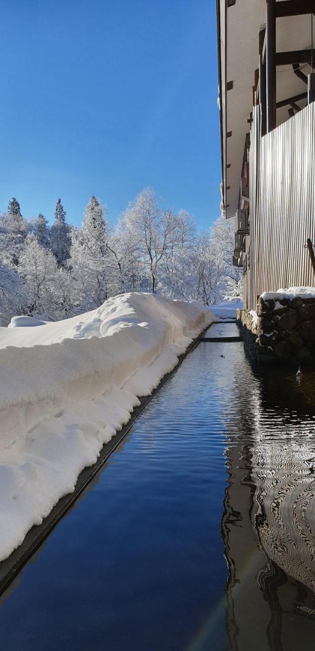 Myoko Ski Lodge In Akakura Village Exterior photo