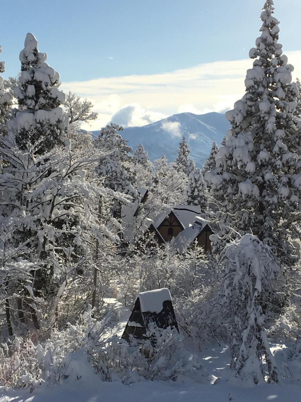 Myoko Ski Lodge In Akakura Village Exterior photo